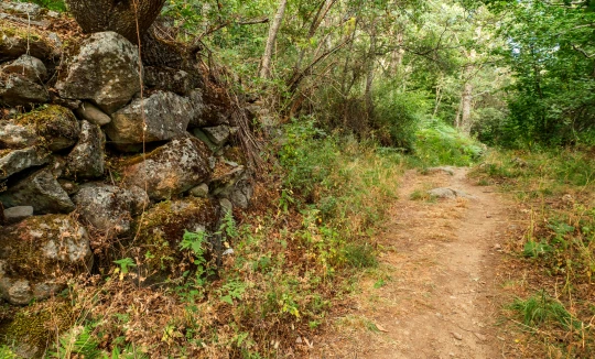 Tierra de Lobos