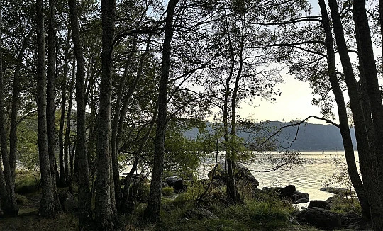 Tierra de Lobos