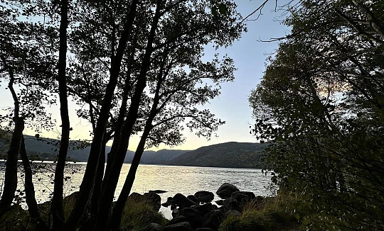 Tierra de Lobos