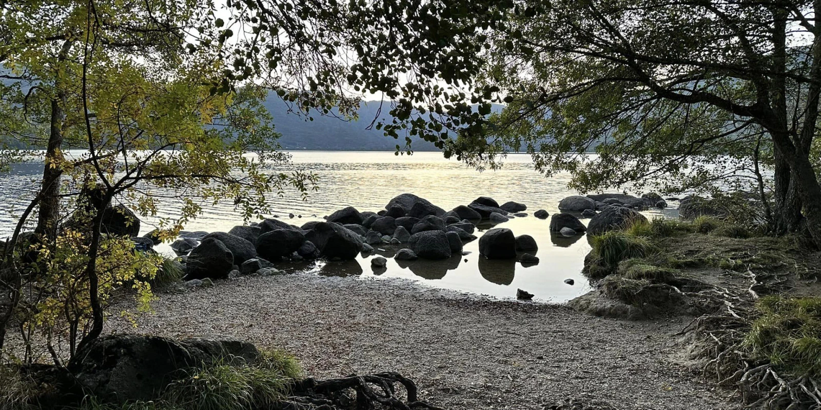 Tierra de Lobos