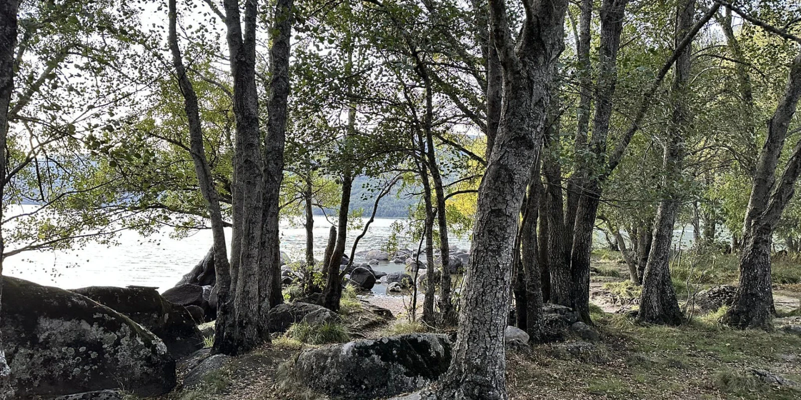 Tierra de Lobos